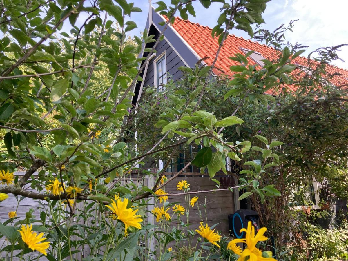 Het Zwaluwnest Apartment Koudekerke